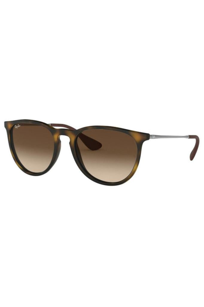 Rb4171 865/13 Unisex Kahverengi Güneş Gözlüğü